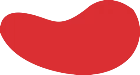 雷竞技官方门户 - 全球电竞赛事直播