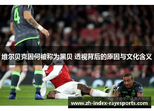 维尔贝克因何被称为黑贝 透视背后的原因与文化含义 维尔贝克因何被称为黑贝 透视背后的原因与文化含义