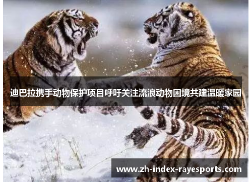 迪巴拉携手动物保护项目呼吁关注流浪动物困境共建温暖家园