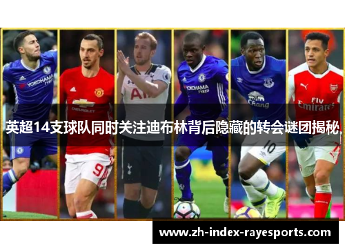 英超14支球队同时关注迪布林背后隐藏的转会谜团揭秘